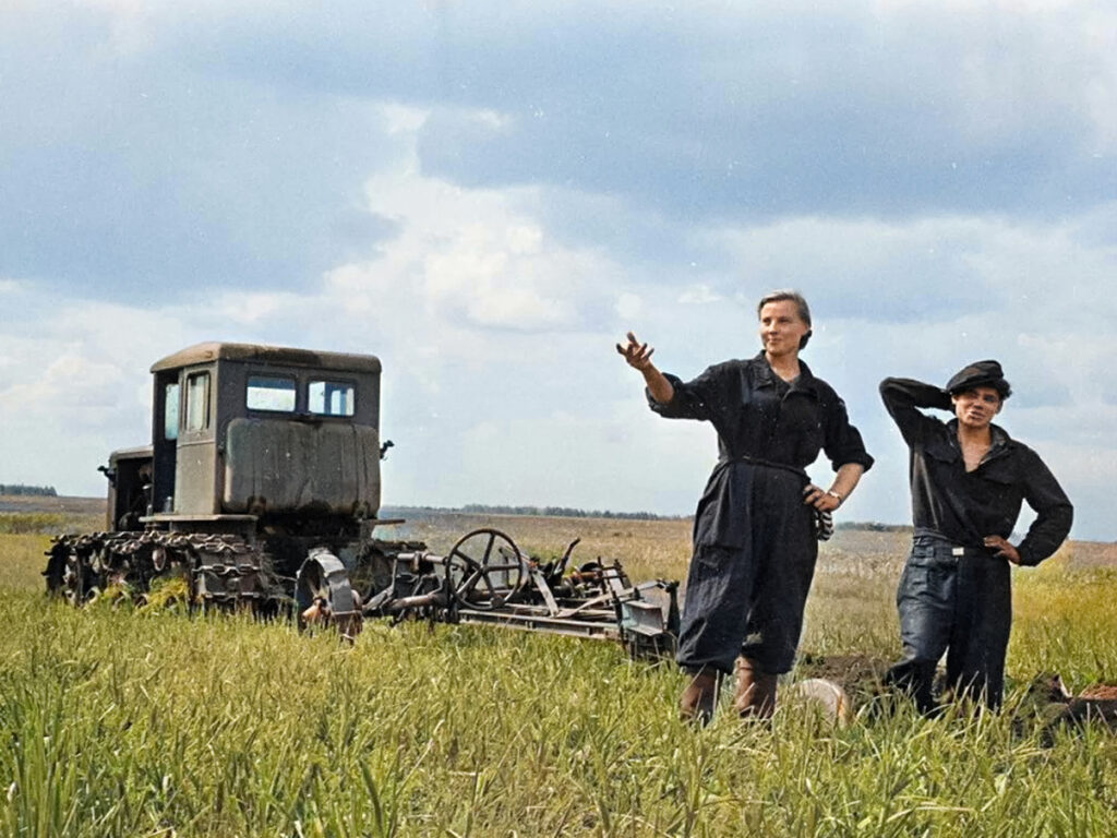 Комсомольцы на целине, 1954-1960 год.