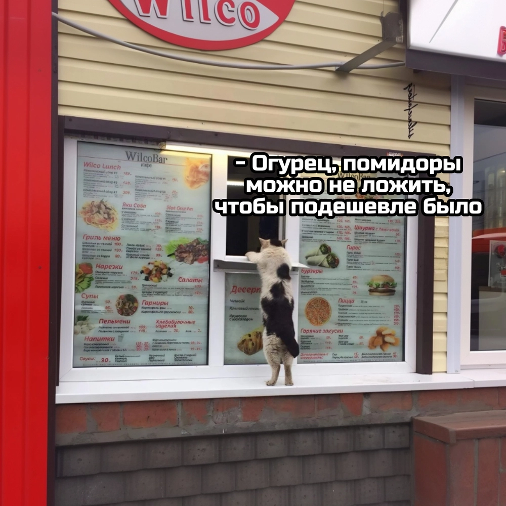 -Огурец, помидоры можно не ложить, чтобы подешевле было